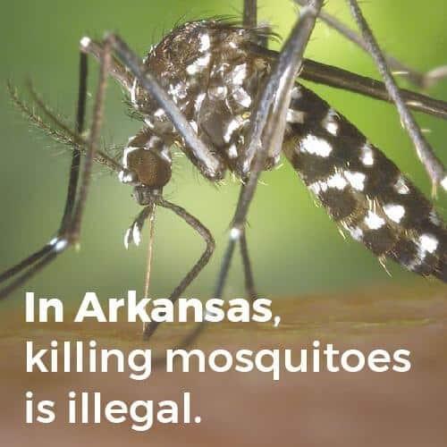 it is illegal to kill mosquitoes in Arkansas