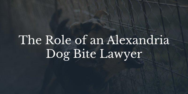 Alexandria dog bite attorney